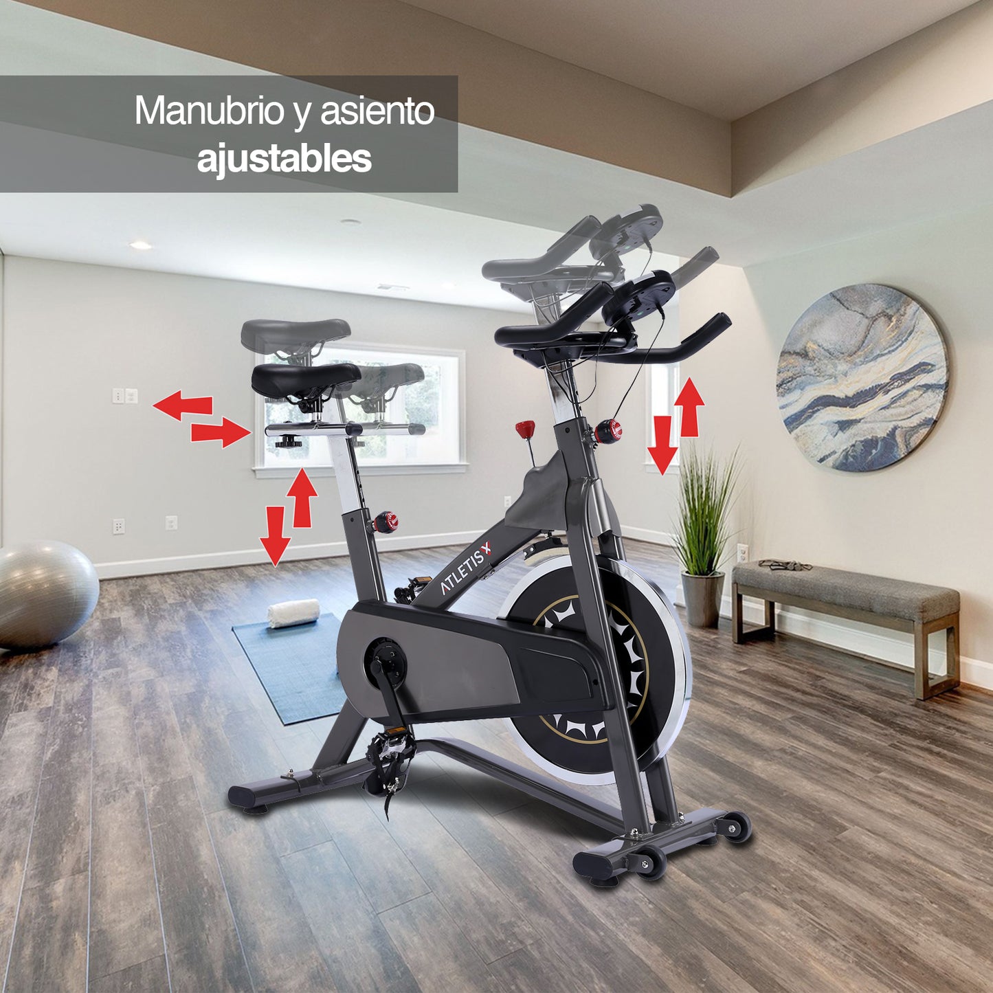 Bicicleta Spinning Sport Volante 10 Kg Gris